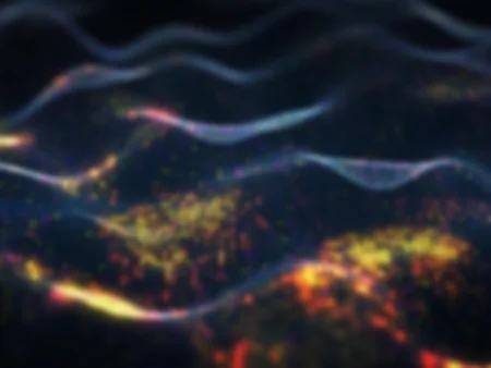 1 Year Free Hosting 1 Year Dedicated Hosting