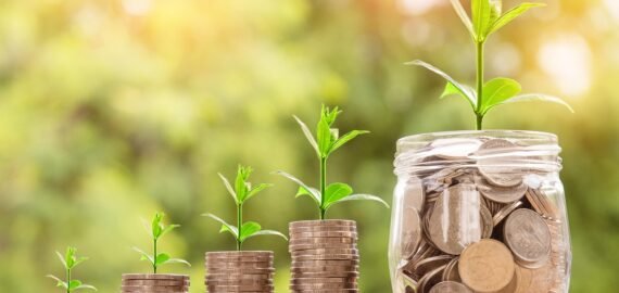 Start A New Business Website Fast With SEO